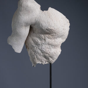 Fragment - Épaule droite